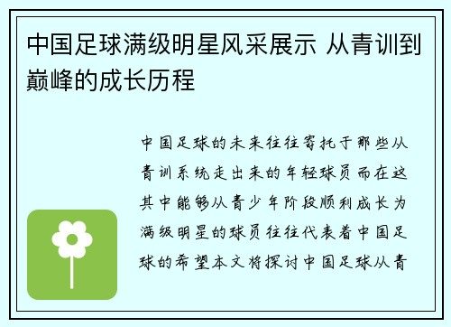 中国足球满级明星风采展示 从青训到巅峰的成长历程