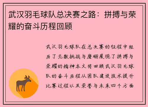 武汉羽毛球队总决赛之路：拼搏与荣耀的奋斗历程回顾
